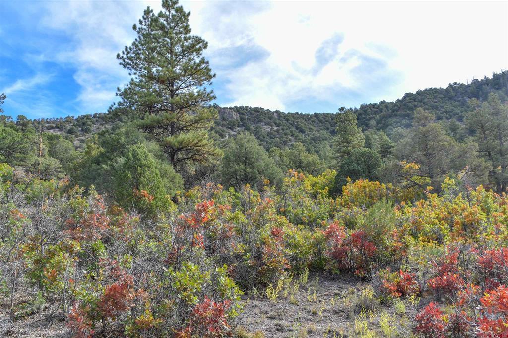 Tbd County Road 7a Ridgway CO 81432
