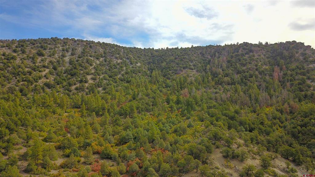 Tbd County Road 7a Ridgway CO 81432