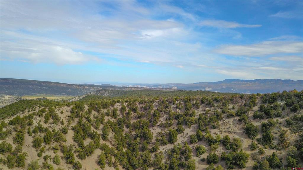 Tbd County Road 7a Ridgway CO 81432