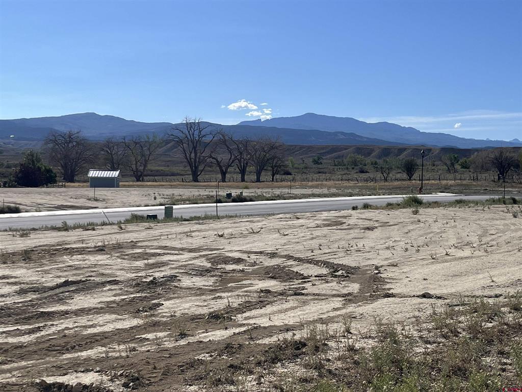 Lot C10 Chestnut Drive Montrose CO 81401