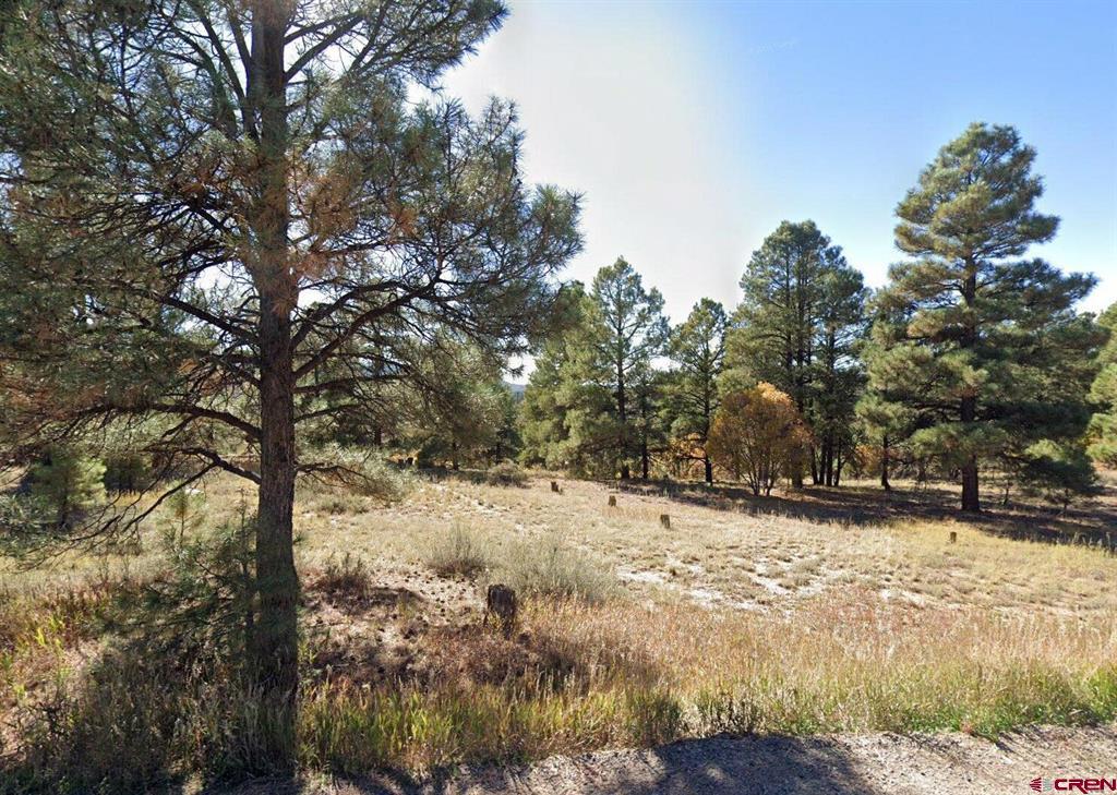 454 Prospect Boulevard Pagosa Springs CO 81147