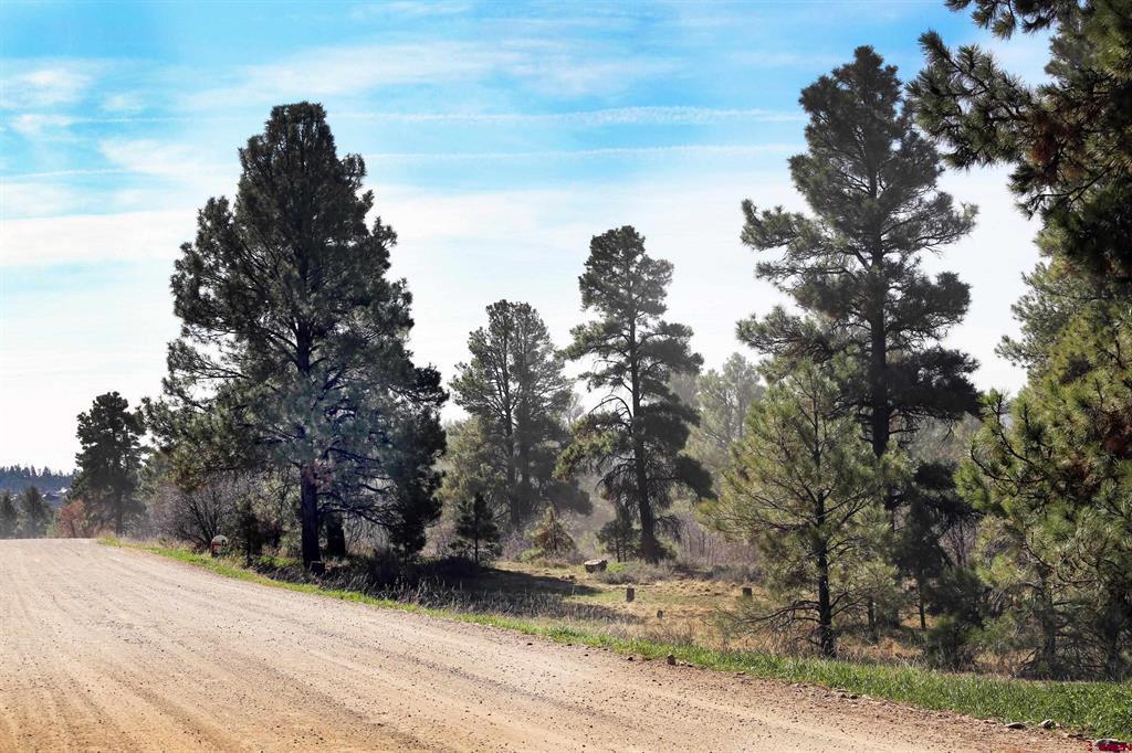454 Prospect Boulevard Pagosa Springs CO 81147