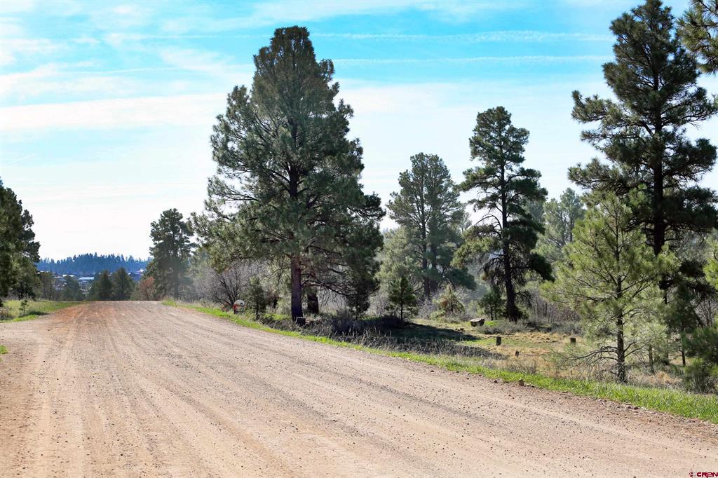 454 Prospect Boulevard Pagosa Springs CO 81147