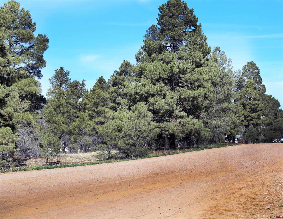 454 Prospect Boulevard Pagosa Springs CO 81147