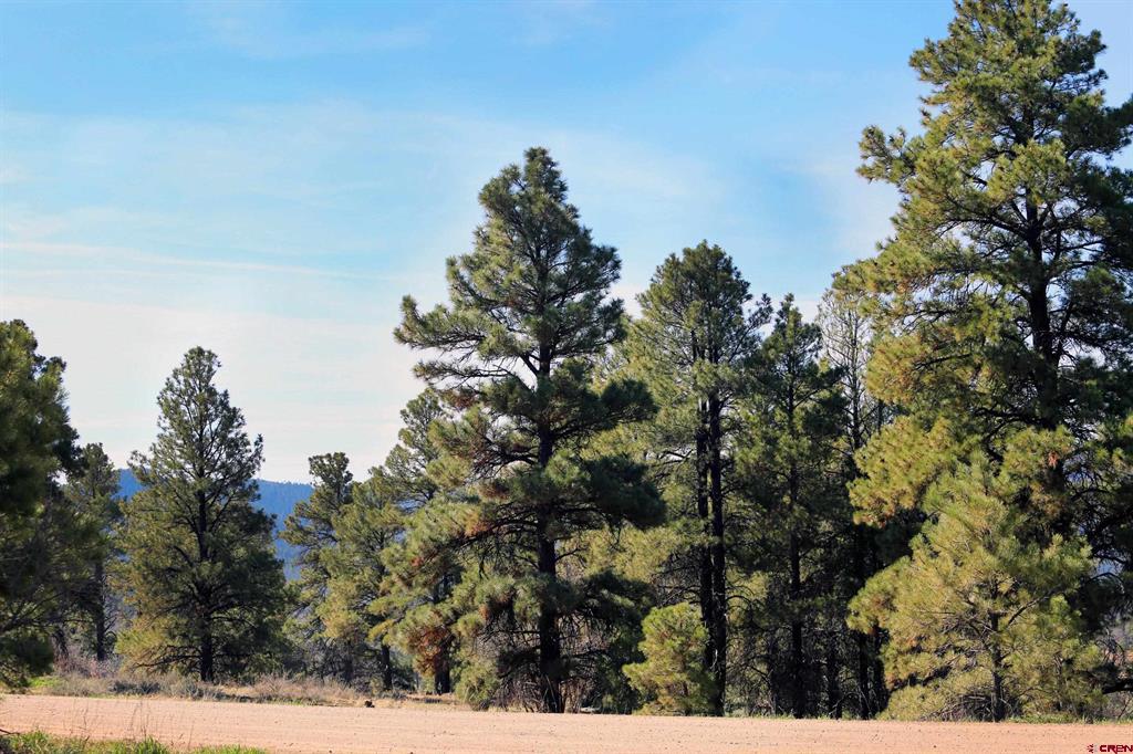 454 Prospect Boulevard Pagosa Springs CO 81147