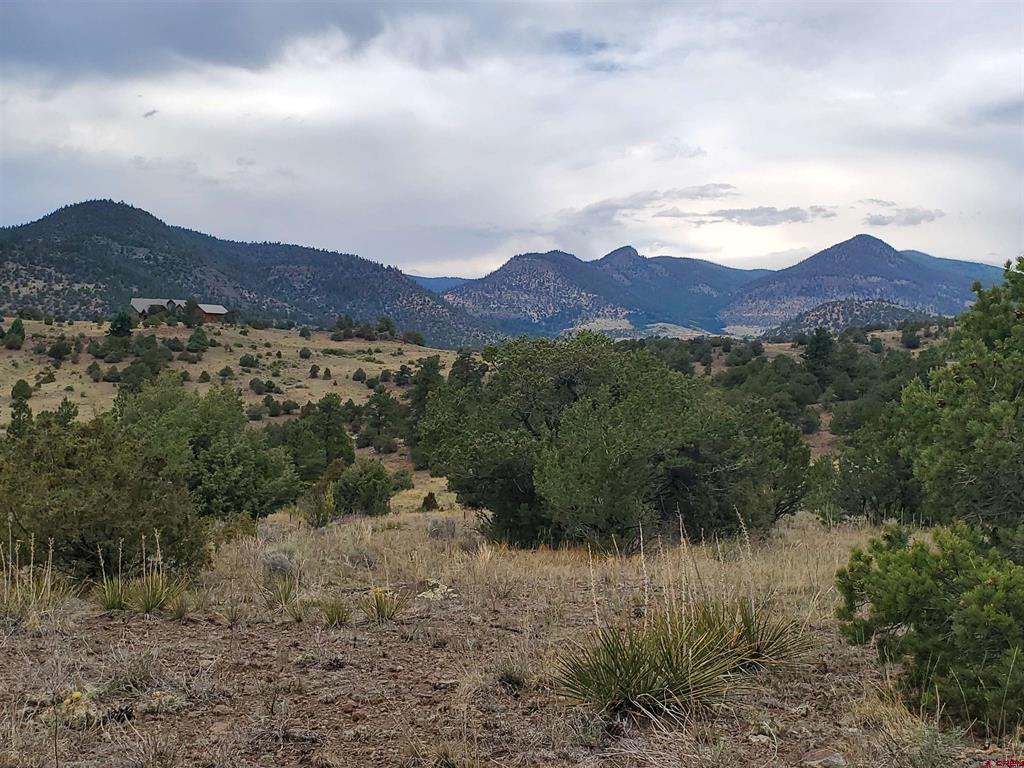 4055 Bear Creek Circle South Fork CO 81154