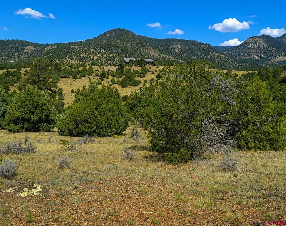 4055 Bear Creek Circle South Fork CO 81154