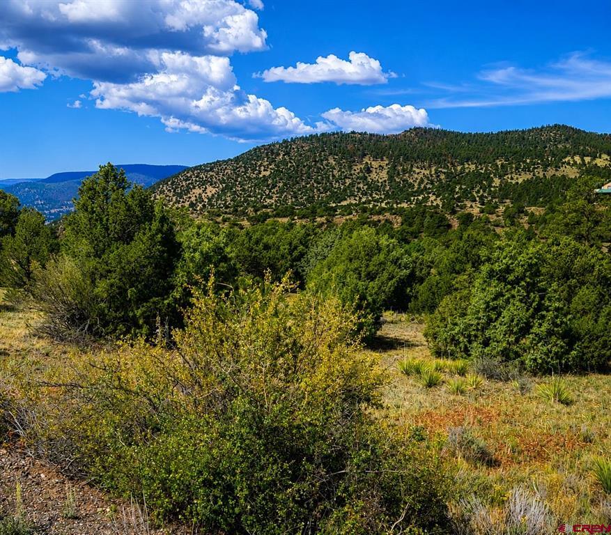 4055 Bear Creek Circle South Fork CO 81154