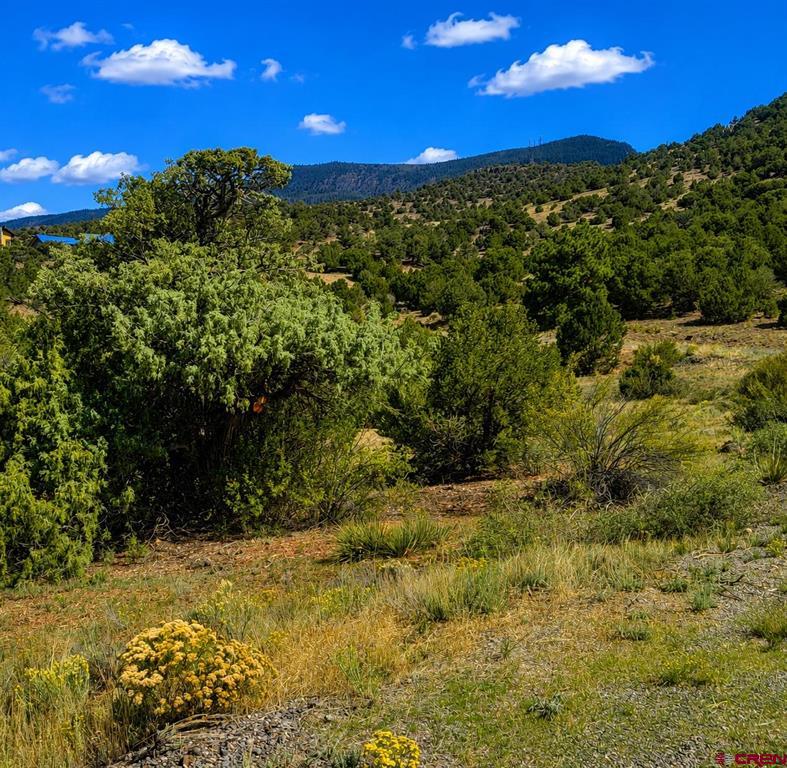 4055 Bear Creek Circle South Fork CO 81154