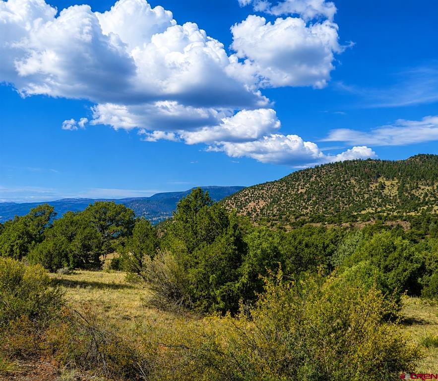 4055 Bear Creek Circle South Fork CO 81154