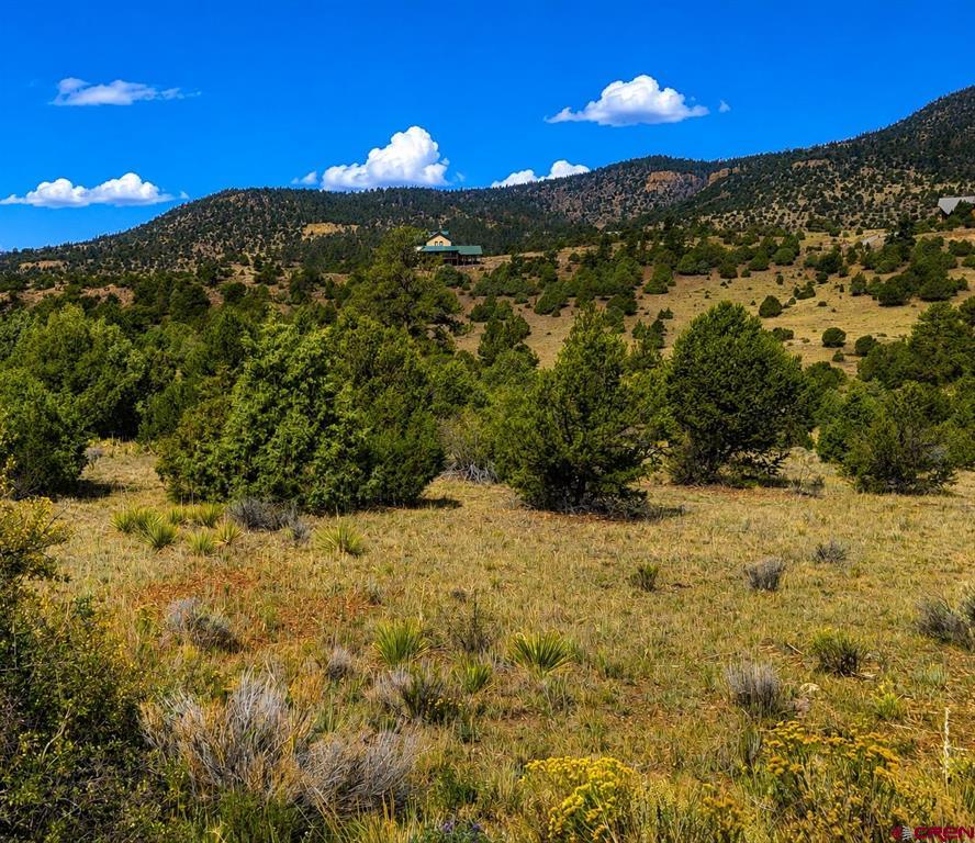 4055 Bear Creek Circle South Fork CO 81154