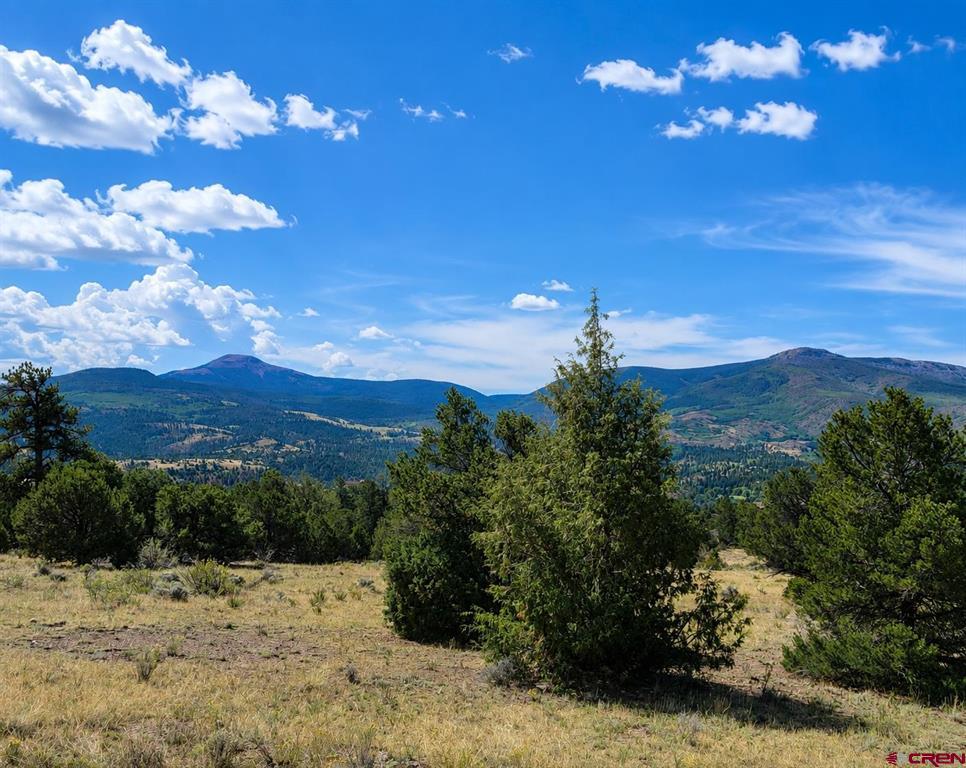 4055 Bear Creek Circle South Fork CO 81154