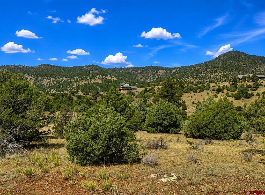4055 Bear Creek Circle South Fork CO 81154
