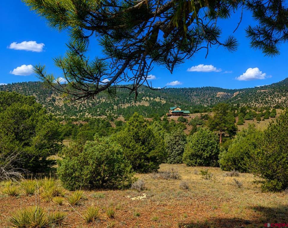 4055 Bear Creek Circle South Fork CO 81154