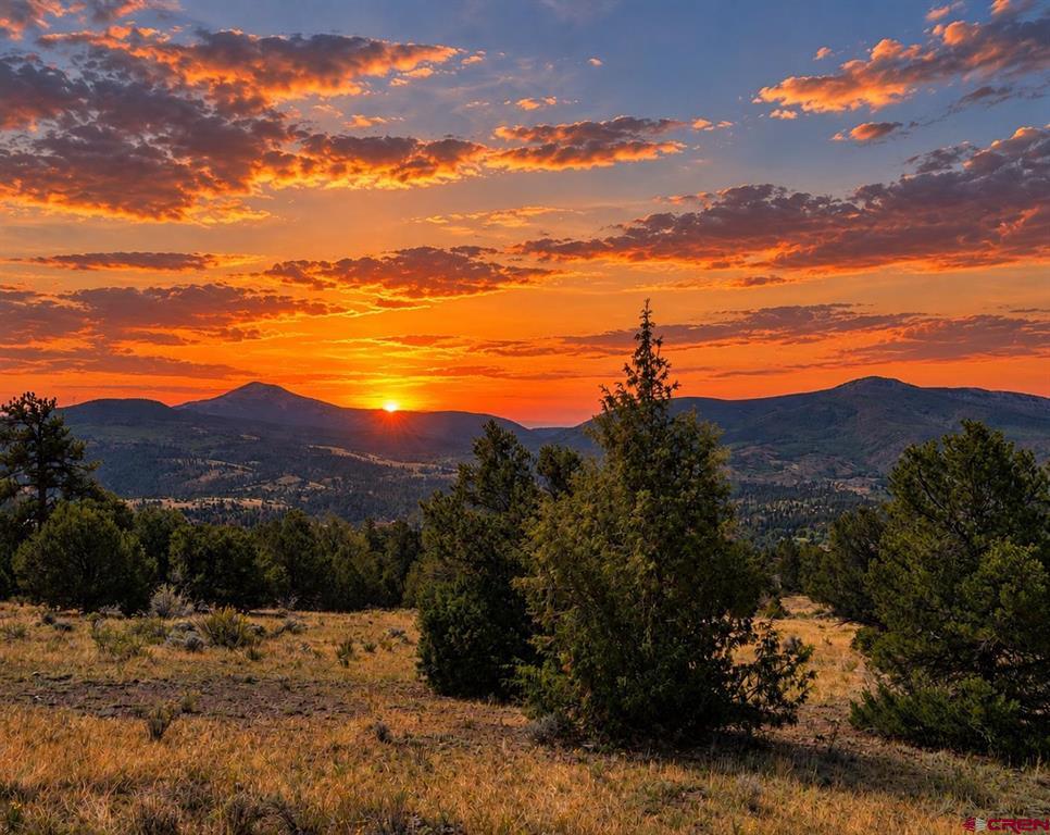 4055 Bear Creek Circle South Fork CO 81154