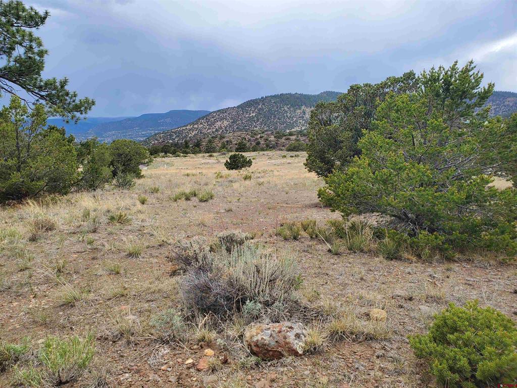 4055 Bear Creek Circle South Fork CO 81154