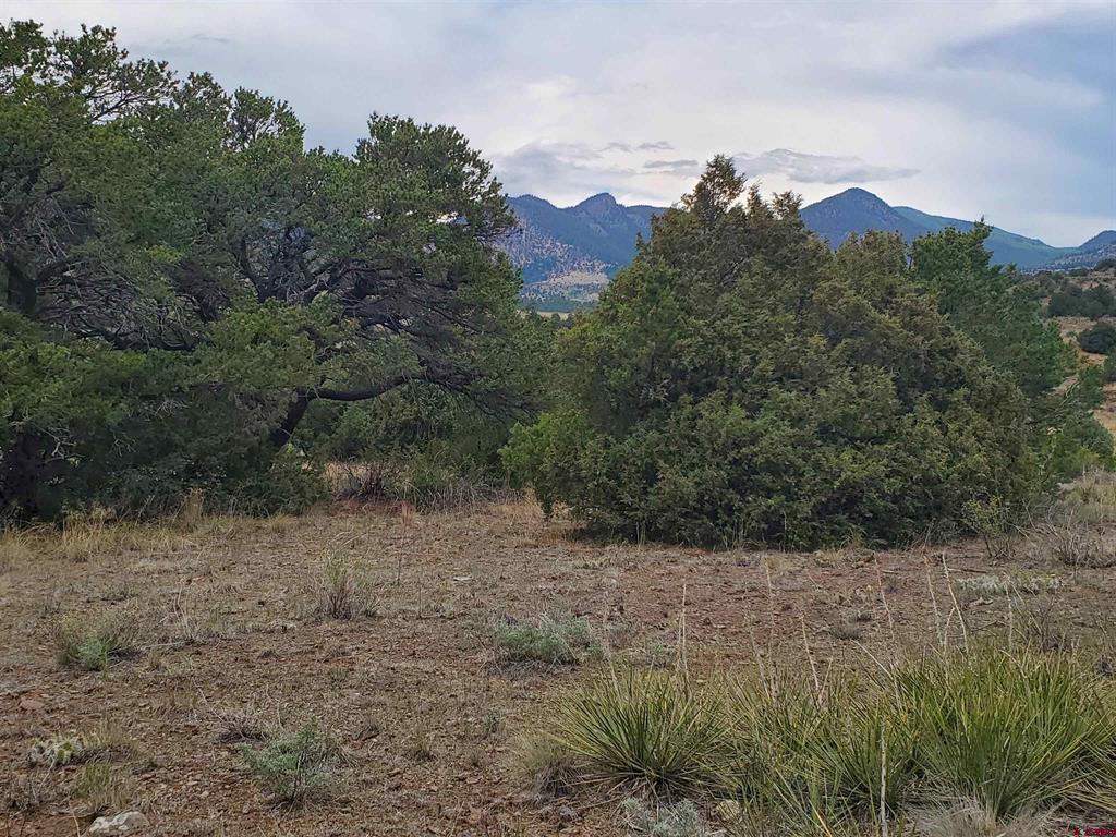 4055 Bear Creek Circle South Fork CO 81154
