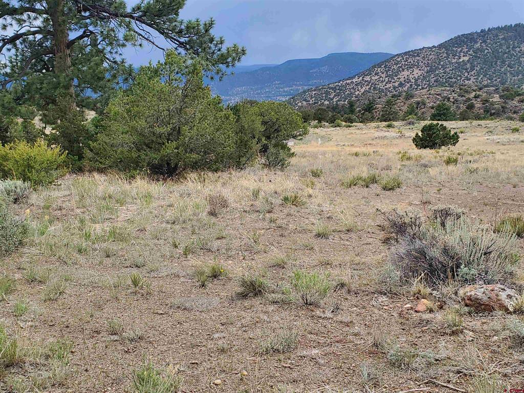 4055 Bear Creek Circle South Fork CO 81154