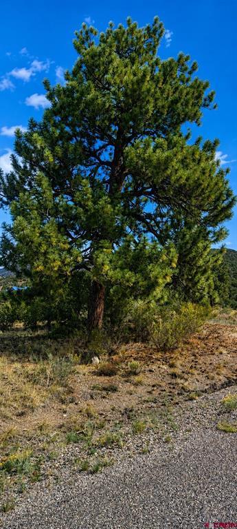 4055 Bear Creek Circle South Fork CO 81154