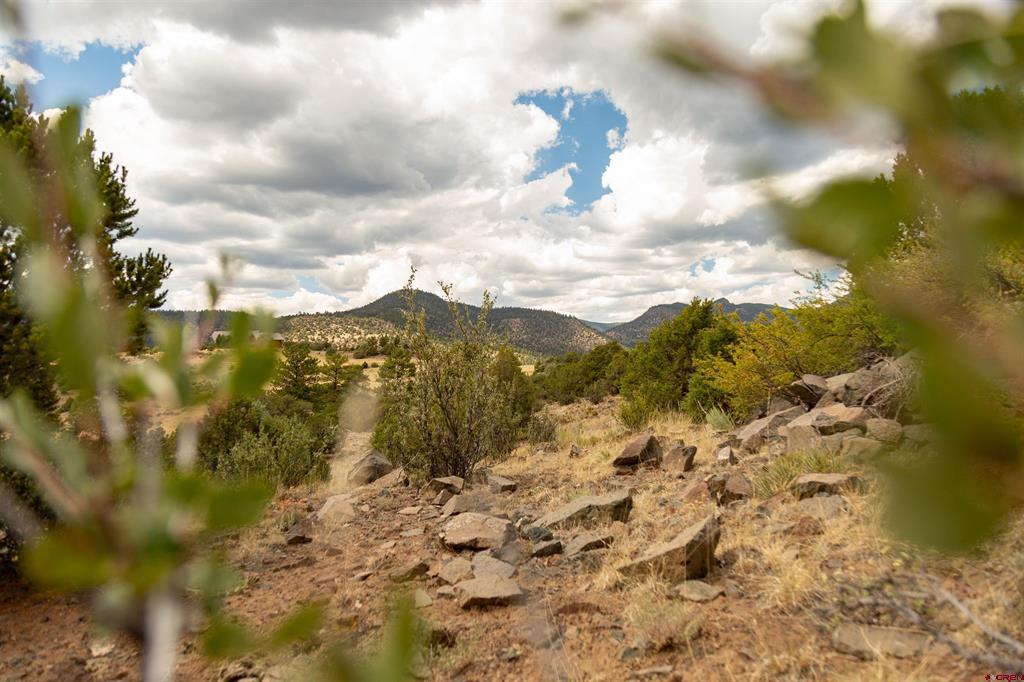 3869 Bear Creek Circle South Fork CO 81154