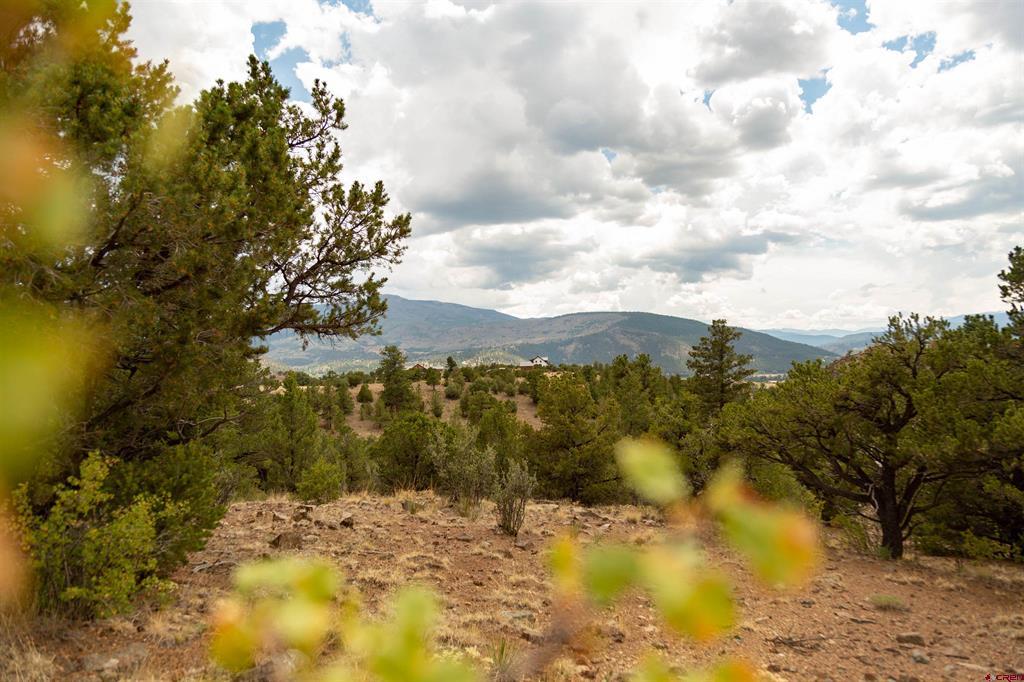 3869 Bear Creek Circle South Fork CO 81154