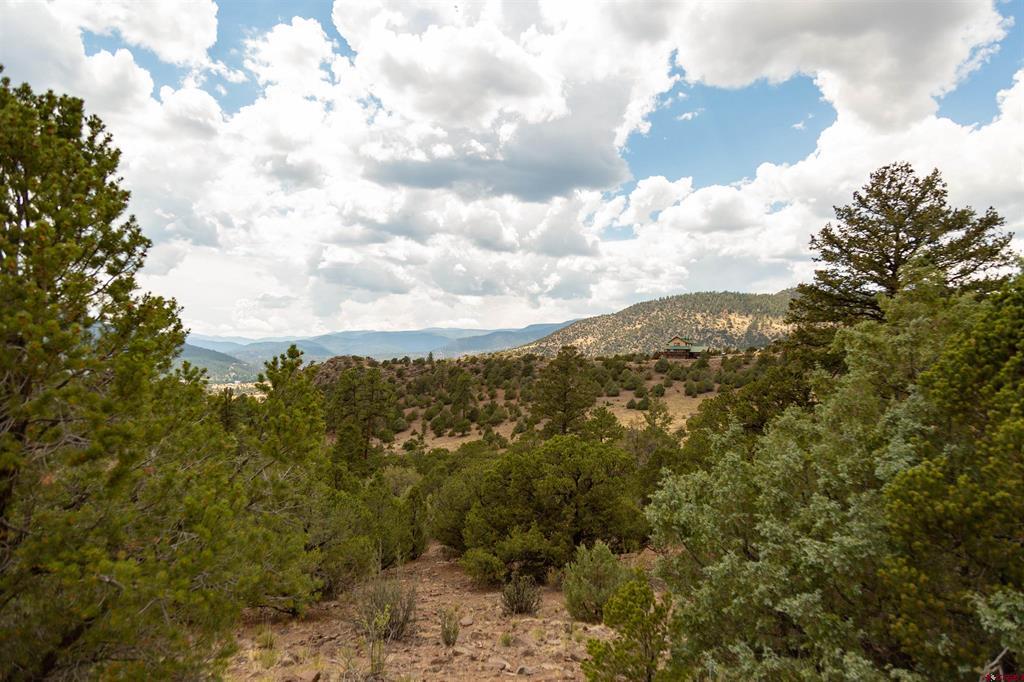 3869 Bear Creek Circle South Fork CO 81154