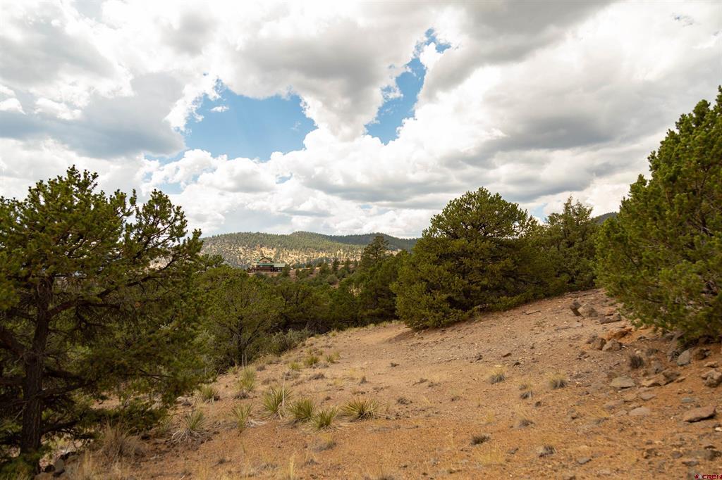 3869 Bear Creek Circle South Fork CO 81154