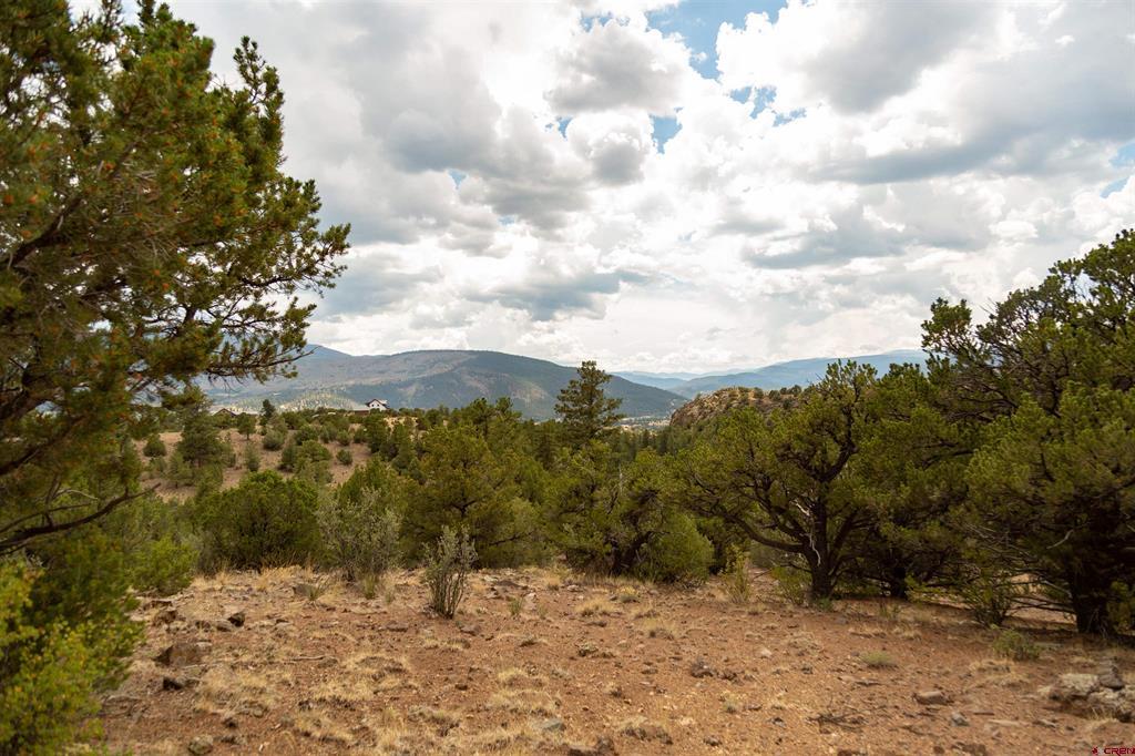 3869 Bear Creek Circle South Fork CO 81154