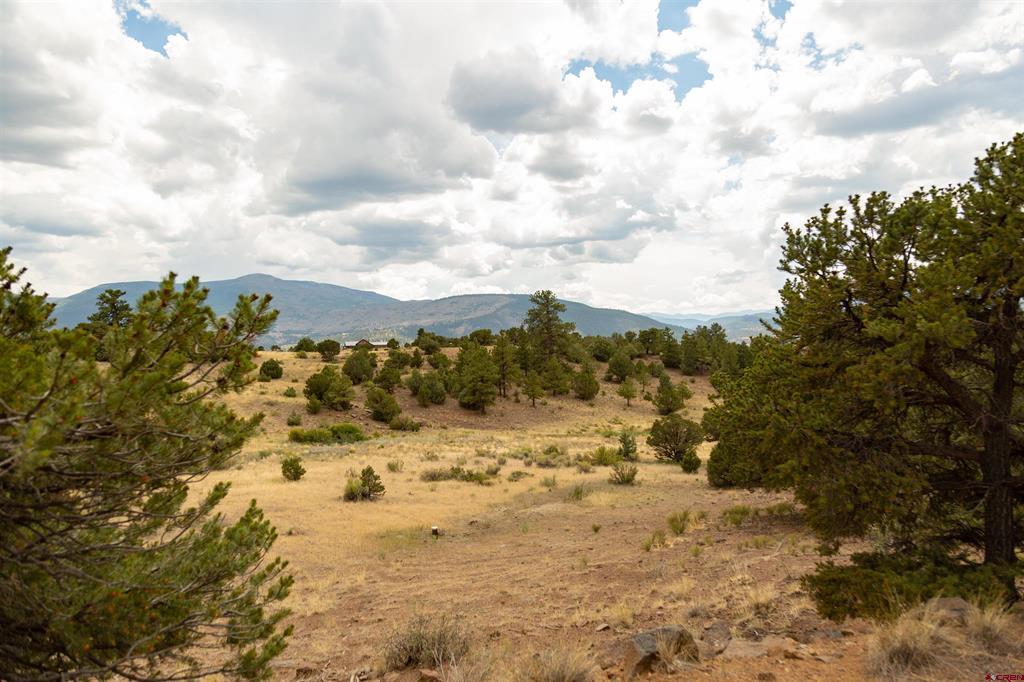 3869 Bear Creek Circle South Fork CO 81154