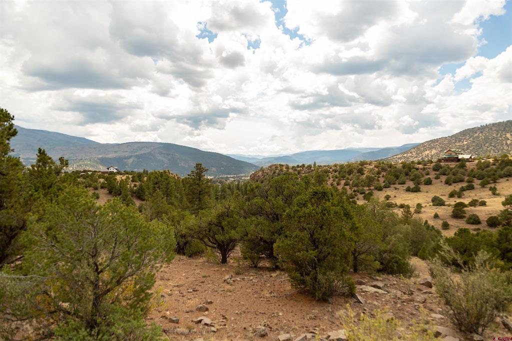 3869 Bear Creek Circle South Fork CO 81154