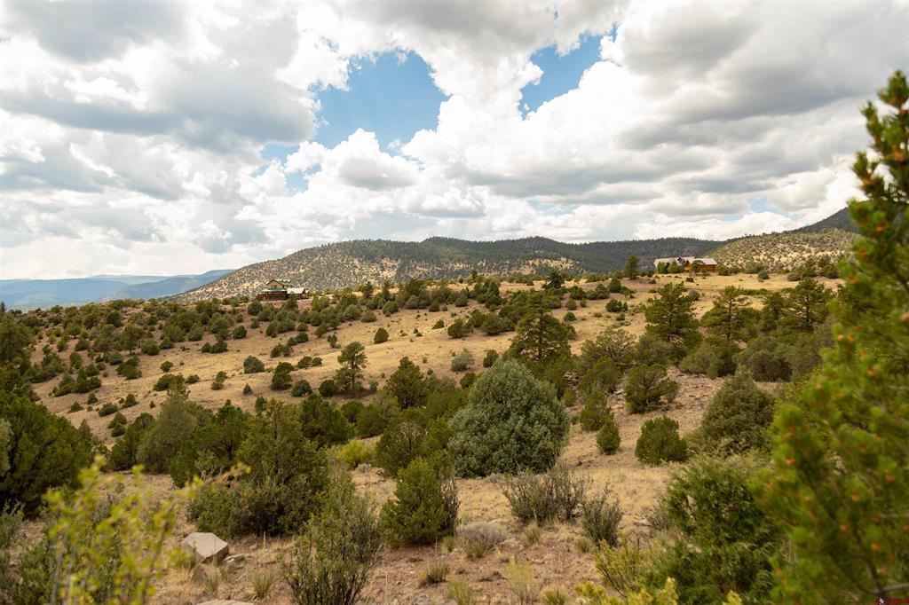 3869 Bear Creek Circle South Fork CO 81154