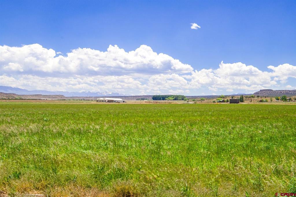Lot 2 5790 Road Montrose CO 81403