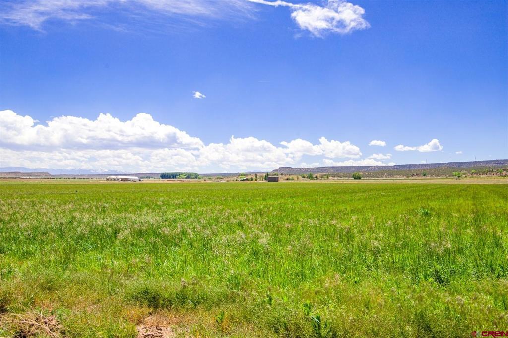 Lot 2 5790 Road Montrose CO 81403