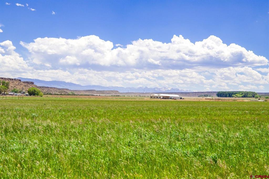 Lot 2 5790 Road Montrose CO 81403