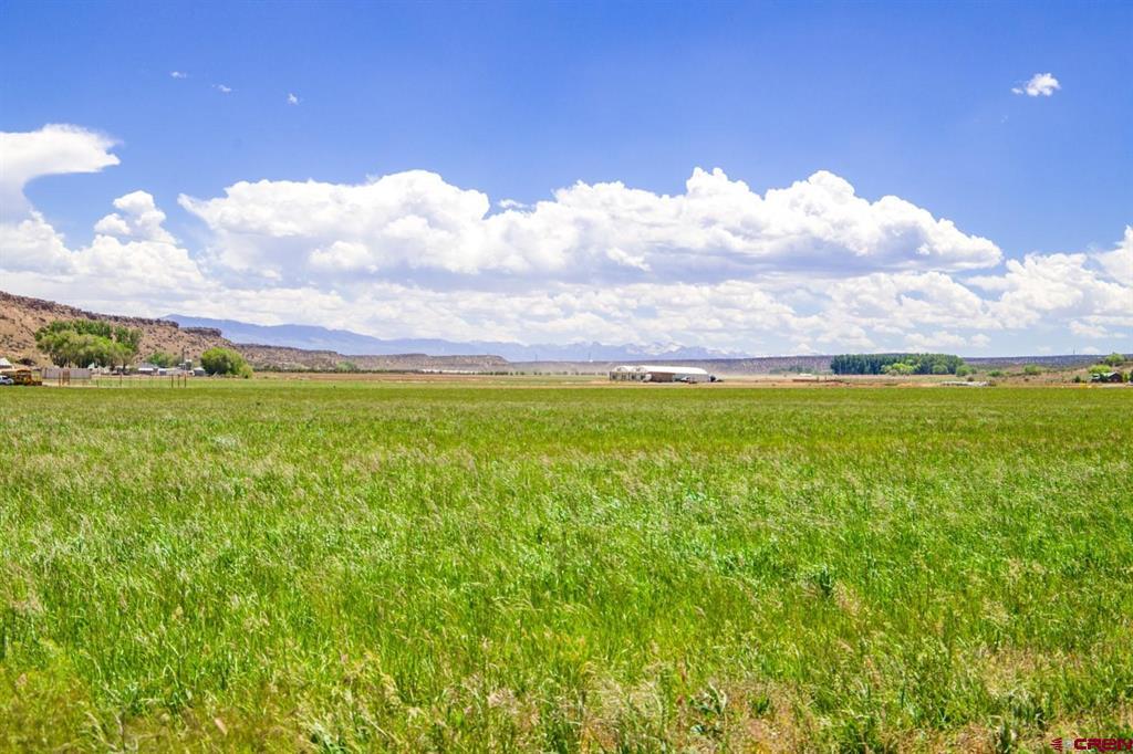 Lot 2 5790 Road Montrose CO 81403