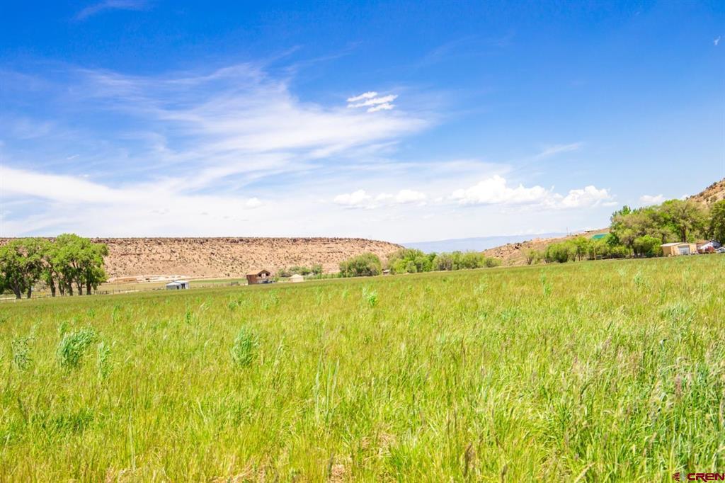 Lot 2 5790 Road Montrose CO 81403