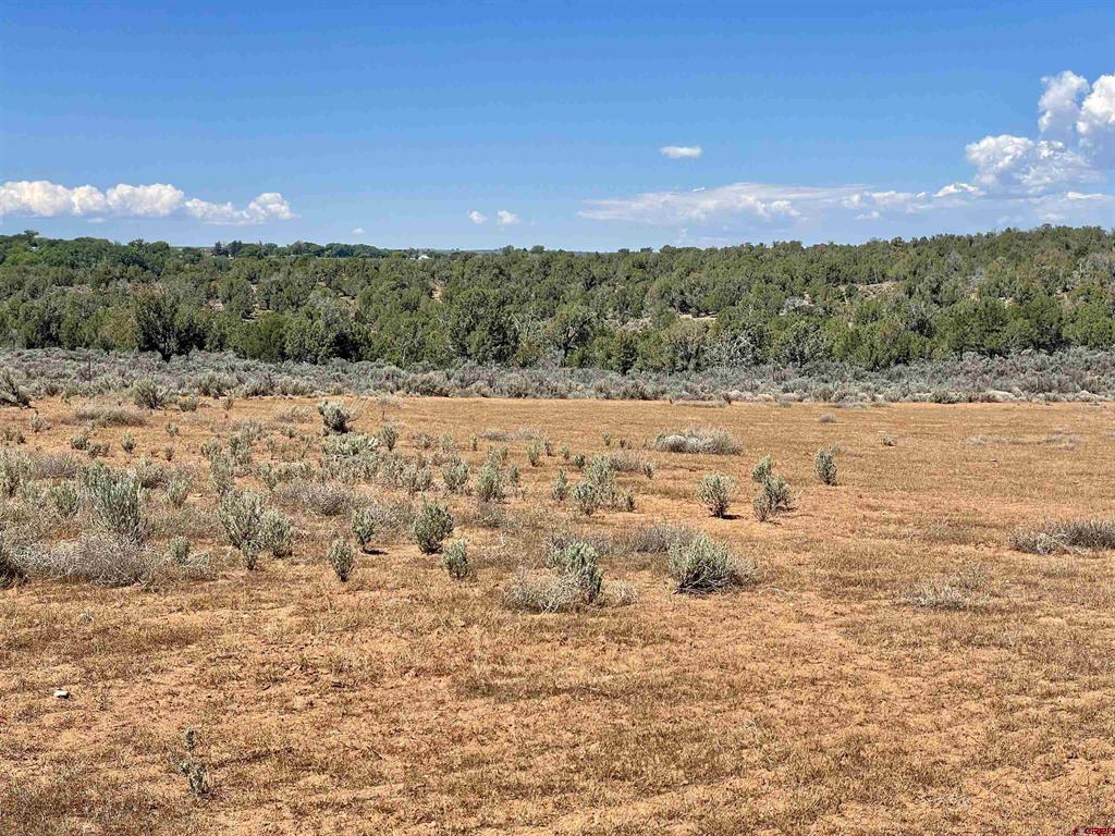 Tract 4 Road K.3 Cortez CO 81321