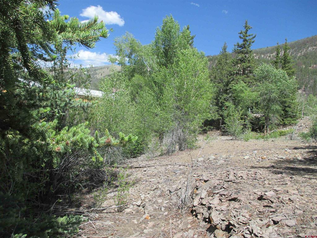 815 Water Street Lake City CO 81235