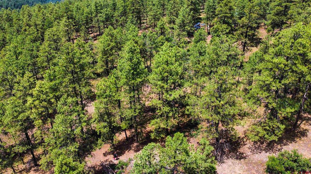160 Far View Pagosa Springs CO 81147