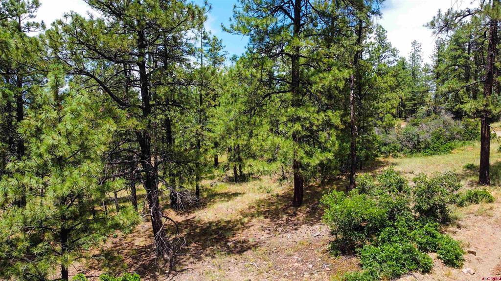 160 Far View Pagosa Springs CO 81147
