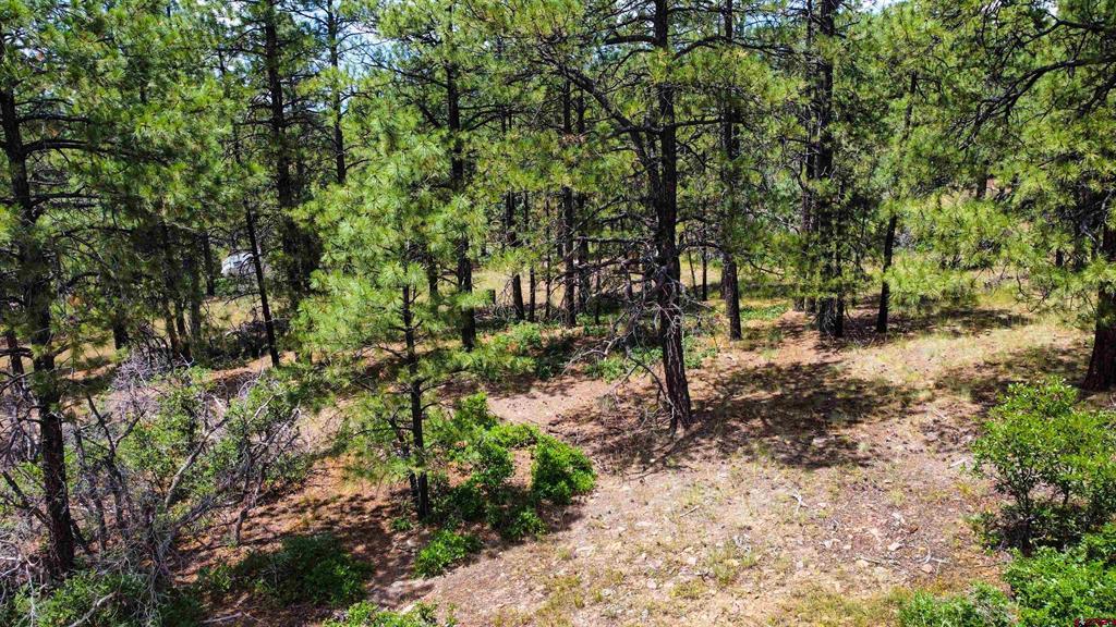 160 Far View Pagosa Springs CO 81147