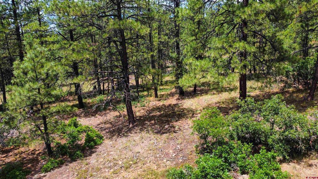 160 Far View Pagosa Springs CO 81147