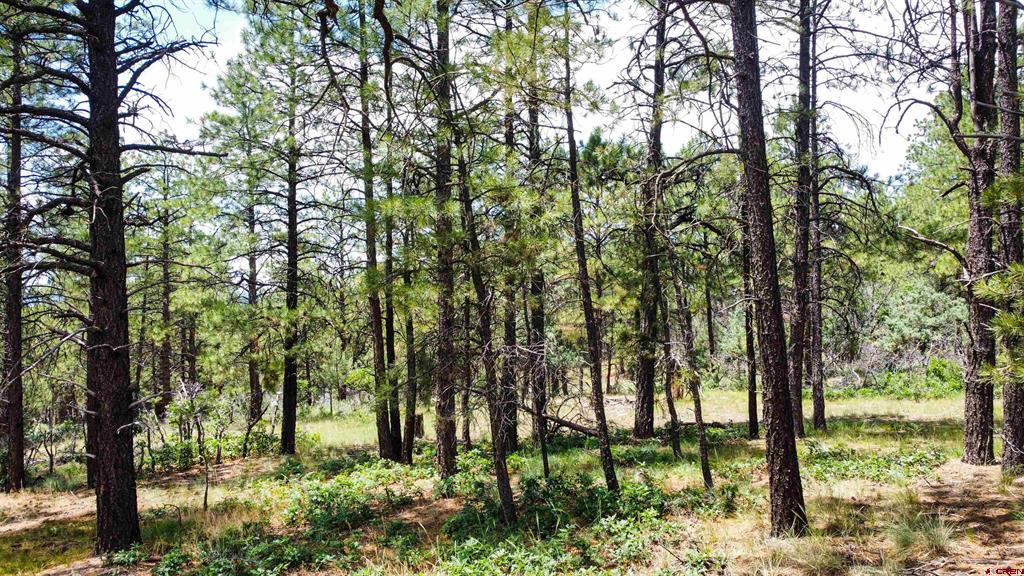 160 Far View Pagosa Springs CO 81147