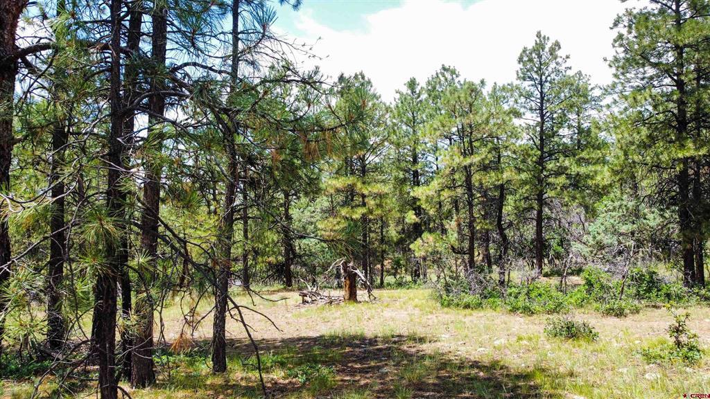160 Far View Pagosa Springs CO 81147