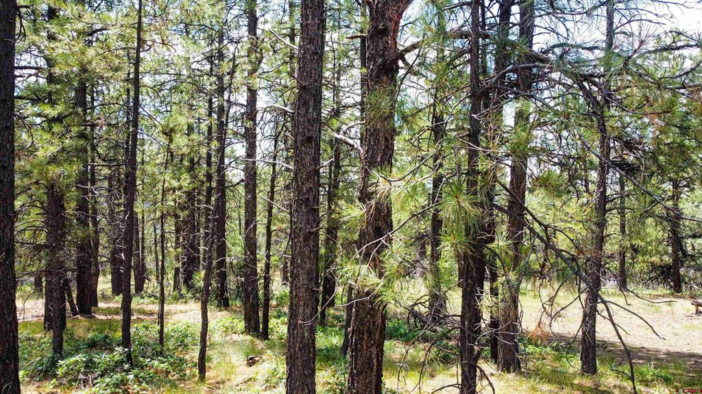 160 Far View Pagosa Springs CO 81147
