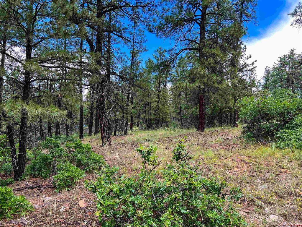 160 Far View Pagosa Springs CO 81147