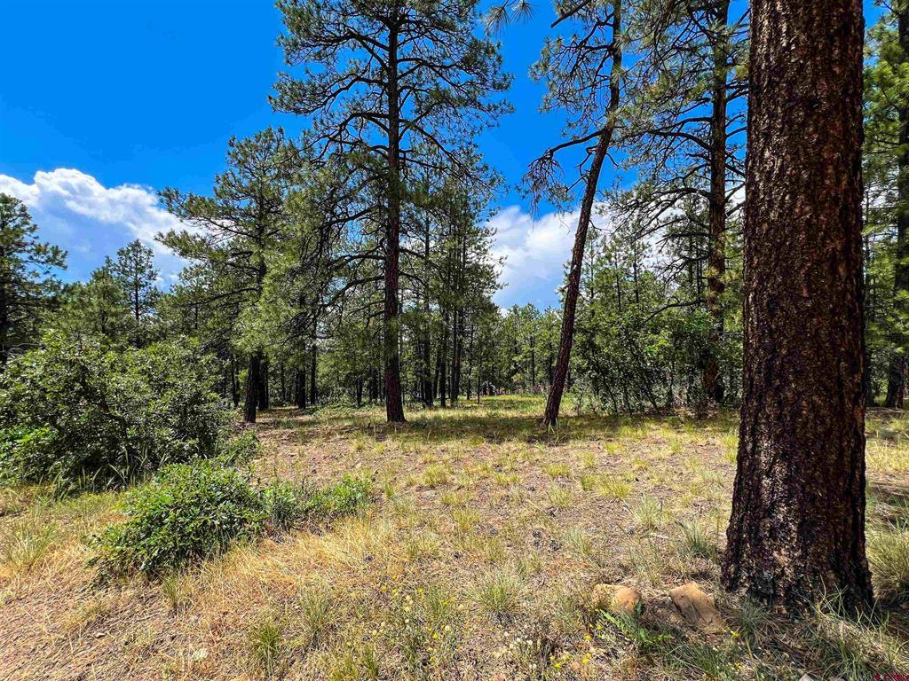 160 Far View Pagosa Springs CO 81147