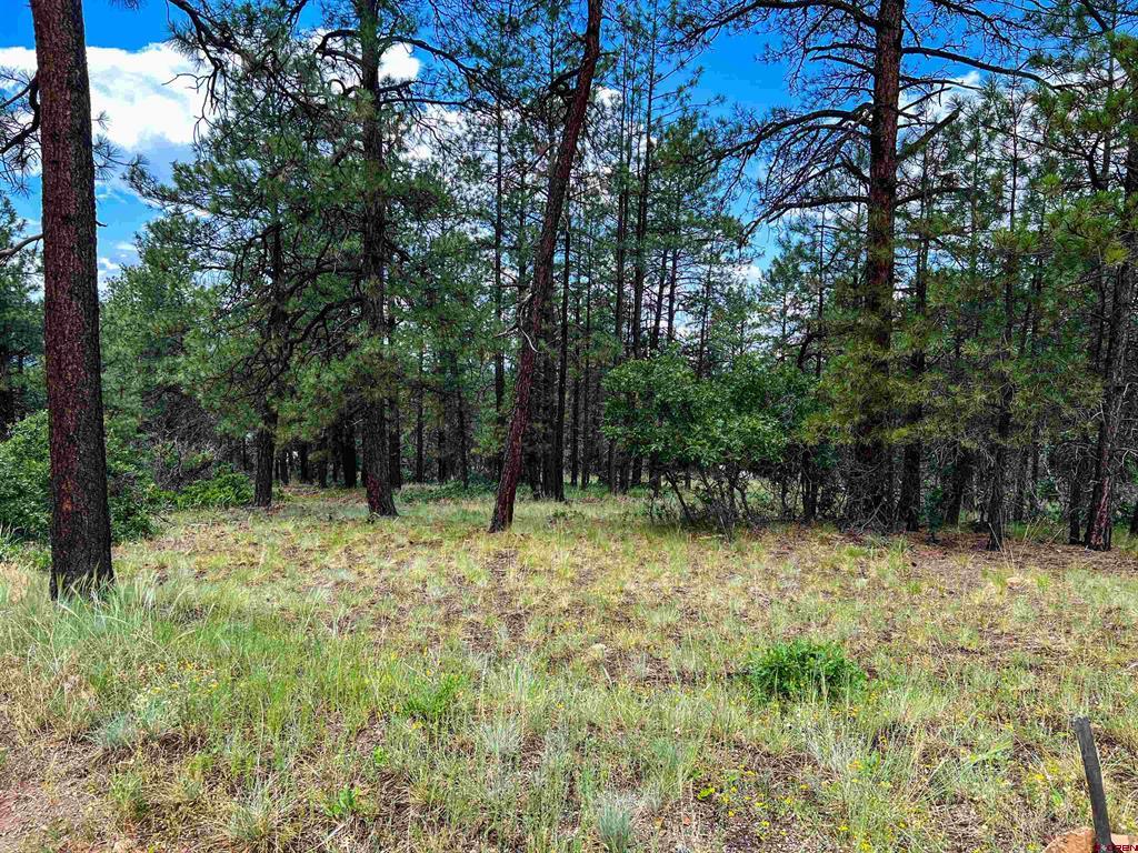 160 Far View Pagosa Springs CO 81147