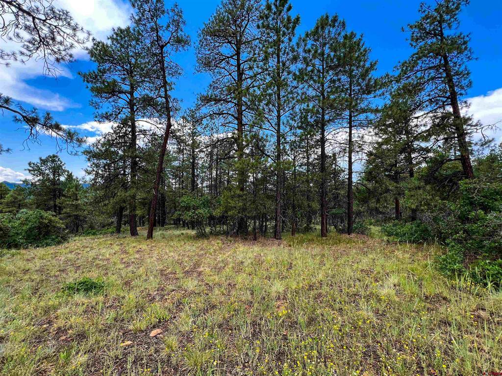 160 Far View Pagosa Springs CO 81147