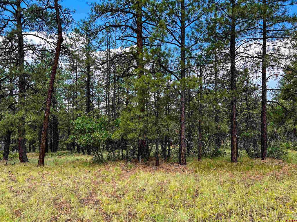 160 Far View Pagosa Springs CO 81147